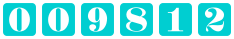 website counter